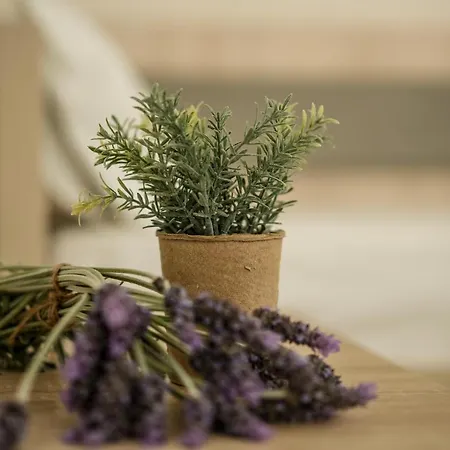 Haus Galini 아파트 사르티