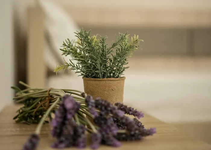 Haus Galini Lägenhet Sarti